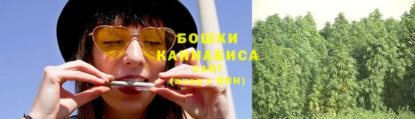 мет Гусев