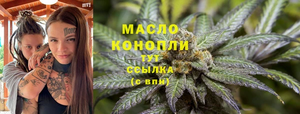 мет Гусев