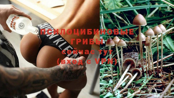 мдма Гусь-Хрустальный