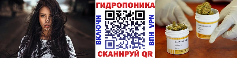 Шишки марихуана планчик  Купить закладки  Кондрово 